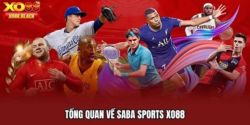 Tổng quan về SABA Sports XO88